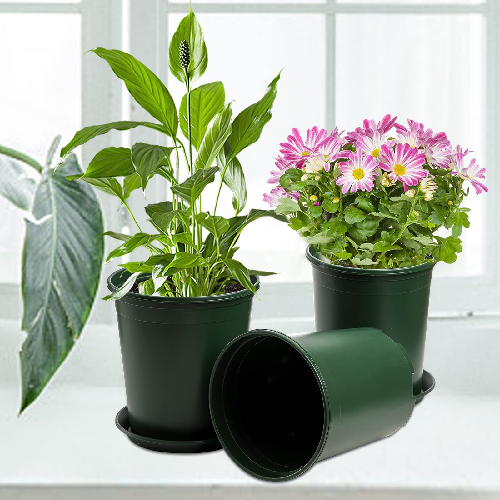 Fasmov pots suitable for indoor, outdoor, and professional gardening.