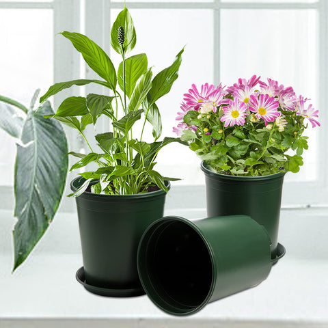 Fasmov pots suitable for indoor, outdoor, and professional gardening.