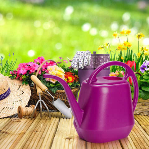 Fasmov versatile can for indoor, outdoor, and garden watering.
