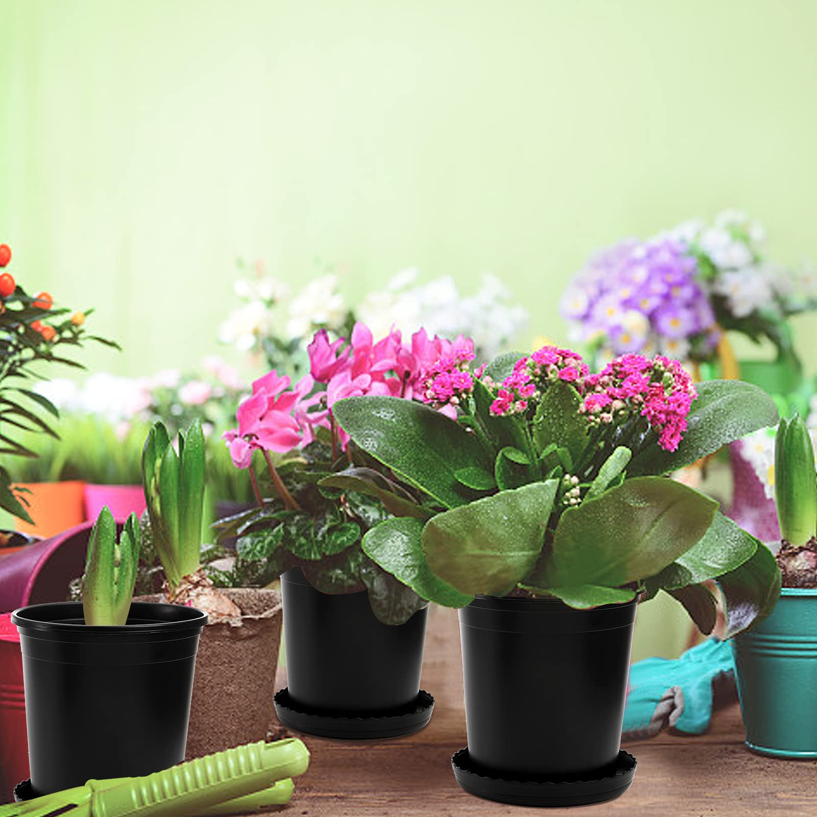 Ten pots and ten matching trays included for organized planting.