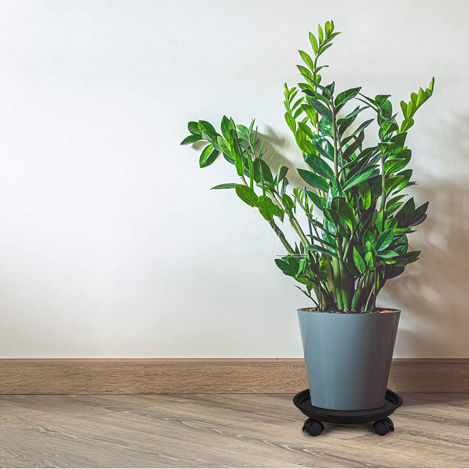 Fasmov heavy-duty pallet supports up to 88 lbs for large plants.