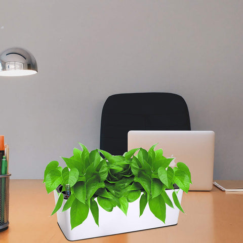 Fasmov planter on balcony setup for space-saving gardening