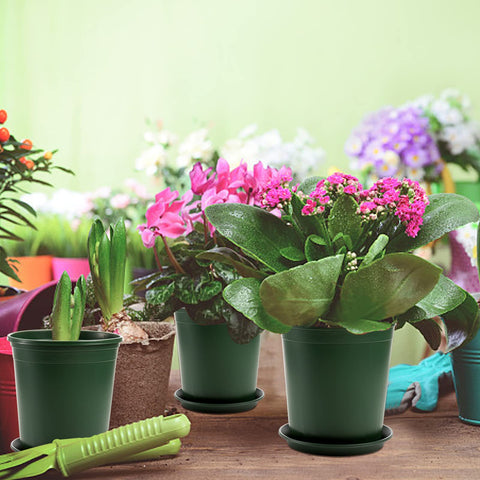 Fasmov 10-pack pots with trays for easy care and organization.