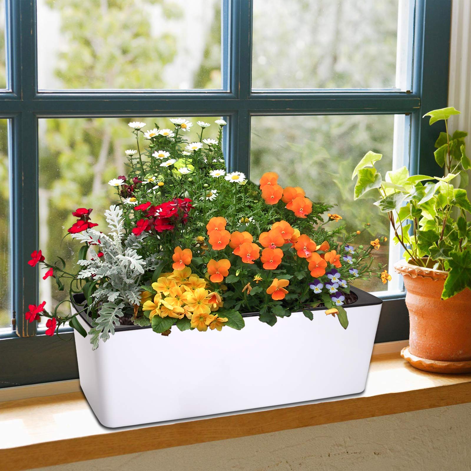 Fasmov rectangle planter measures 16x5.5 inches for versatile placement