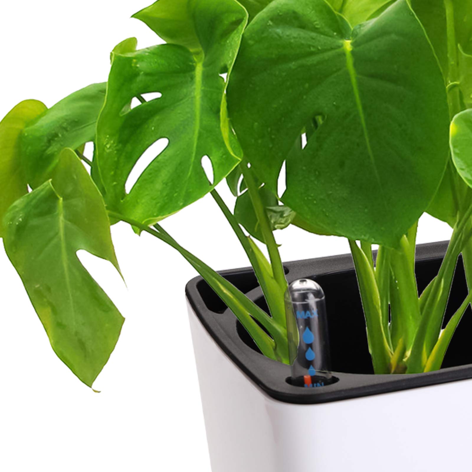 Fasmov rectangle planter with glossy lacquered finish for stylish indoor display