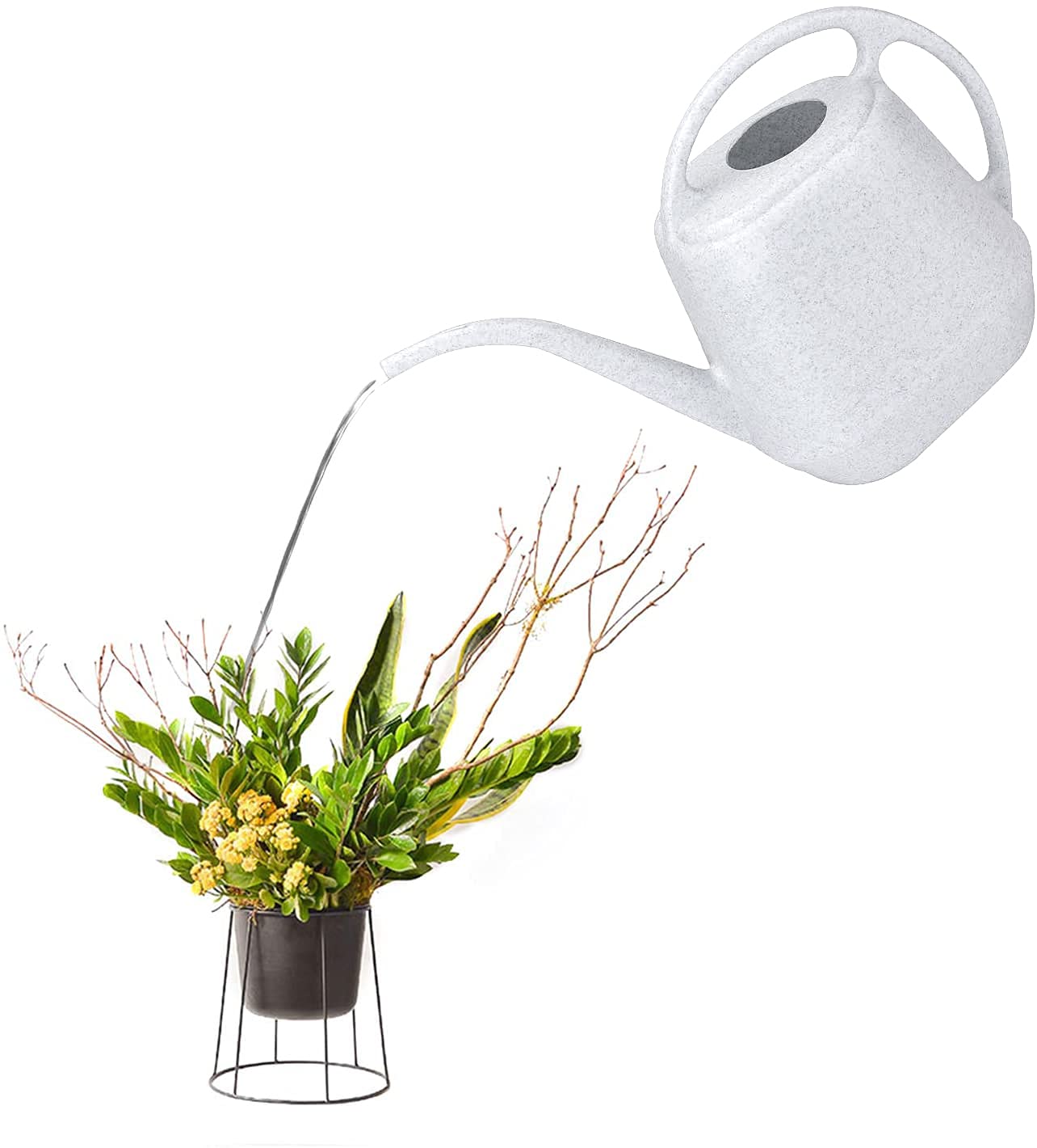 Fasmov long-spout watering can directs water between foliage toward roots
