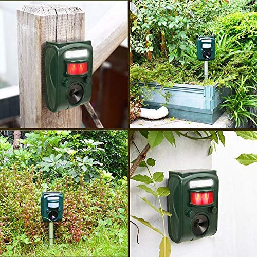 FAYINWBO mode knobs show adjustable frequency and range customization.