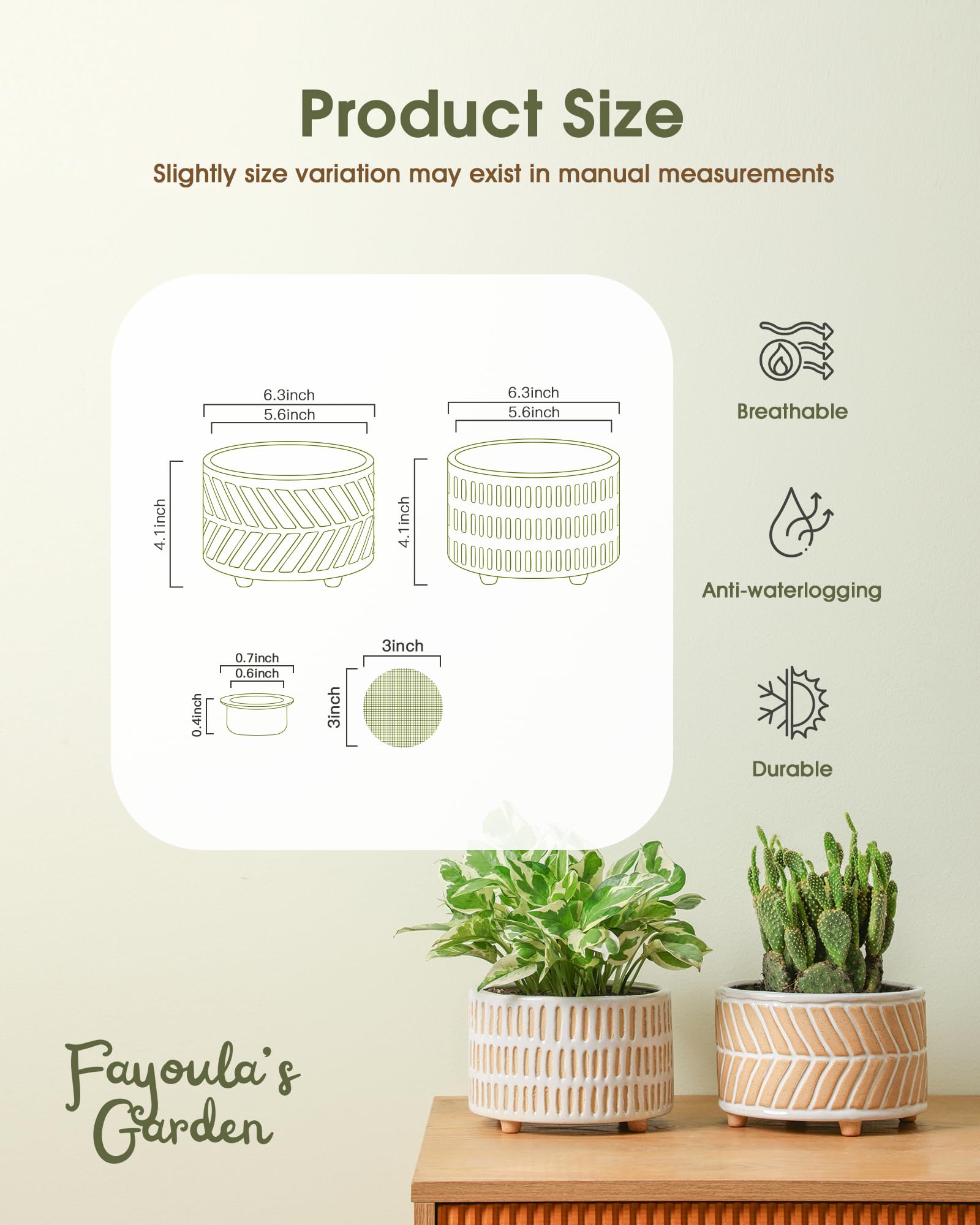 Fayoula 6-inch succulent pot with floral pattern adds subtle elegance for display