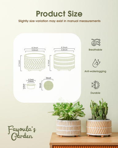 Fayoula 6-inch succulent pot with floral pattern adds subtle elegance for display