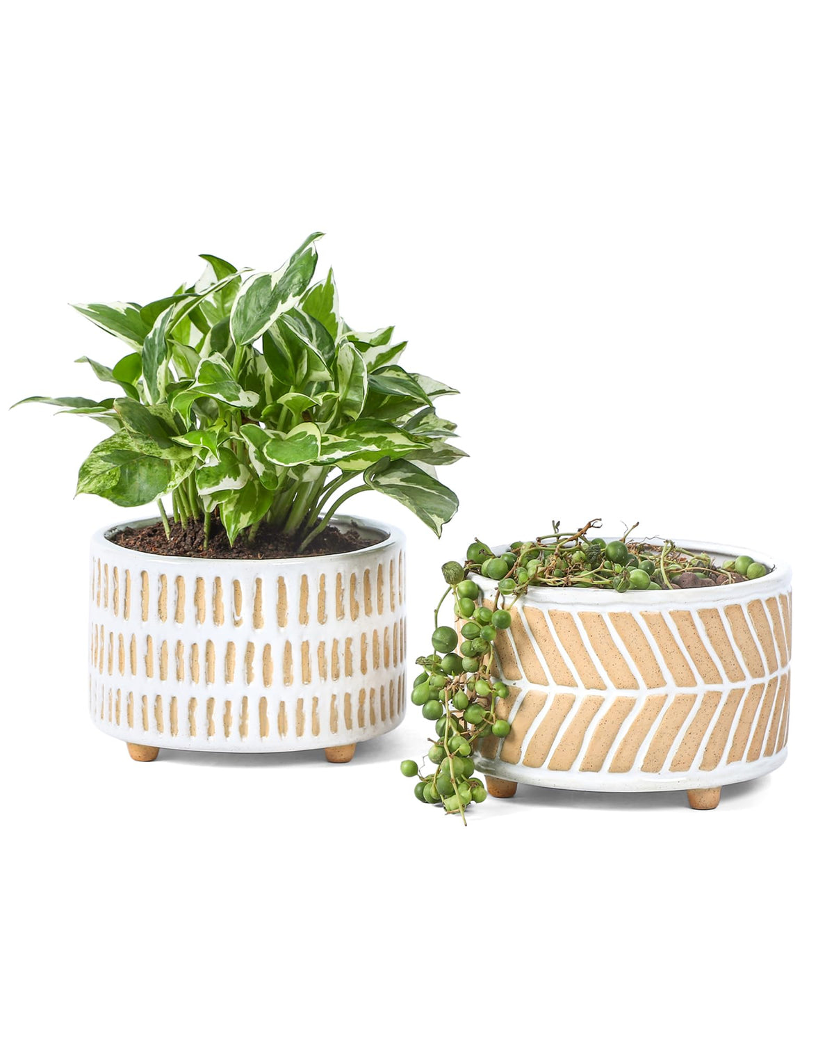 Fayoula 6-inch succulent pot with geometric pattern for modern decor