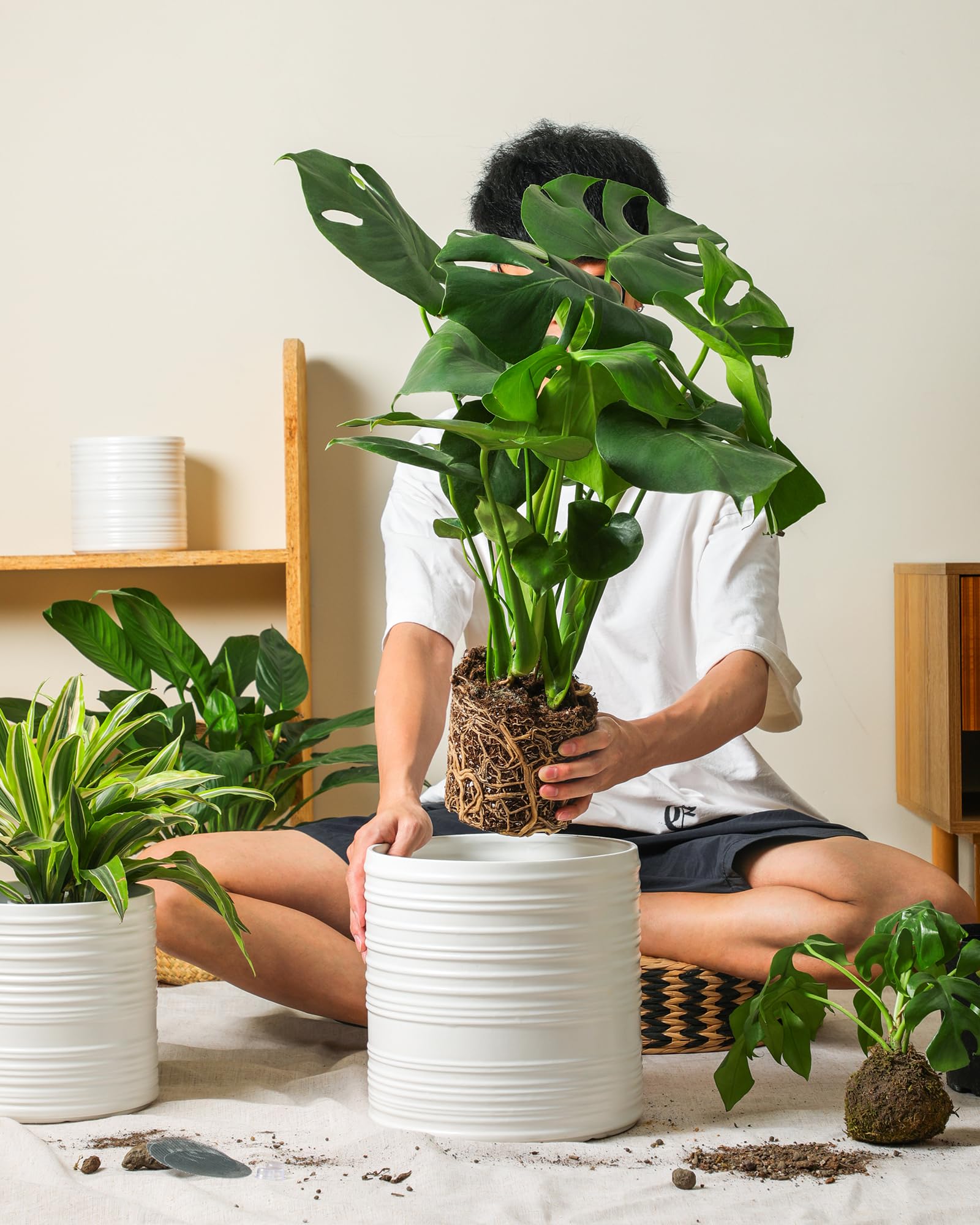 Fayoula 10-inch ceramic pot with stripe for statement plants.
