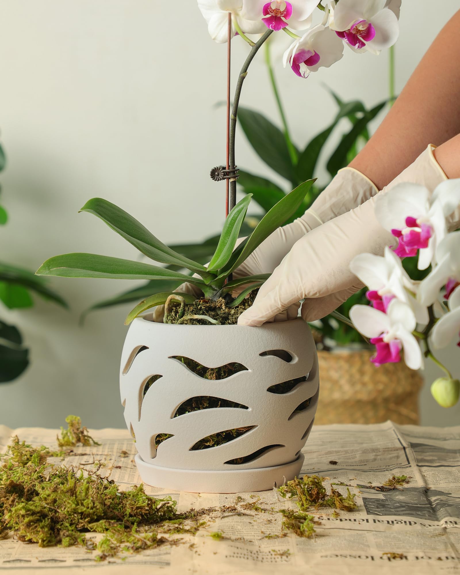 Fayoula ceramic pot with a white finish that suits any decor.