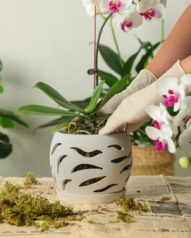 Fayoula ceramic pot with a white finish that suits any decor.