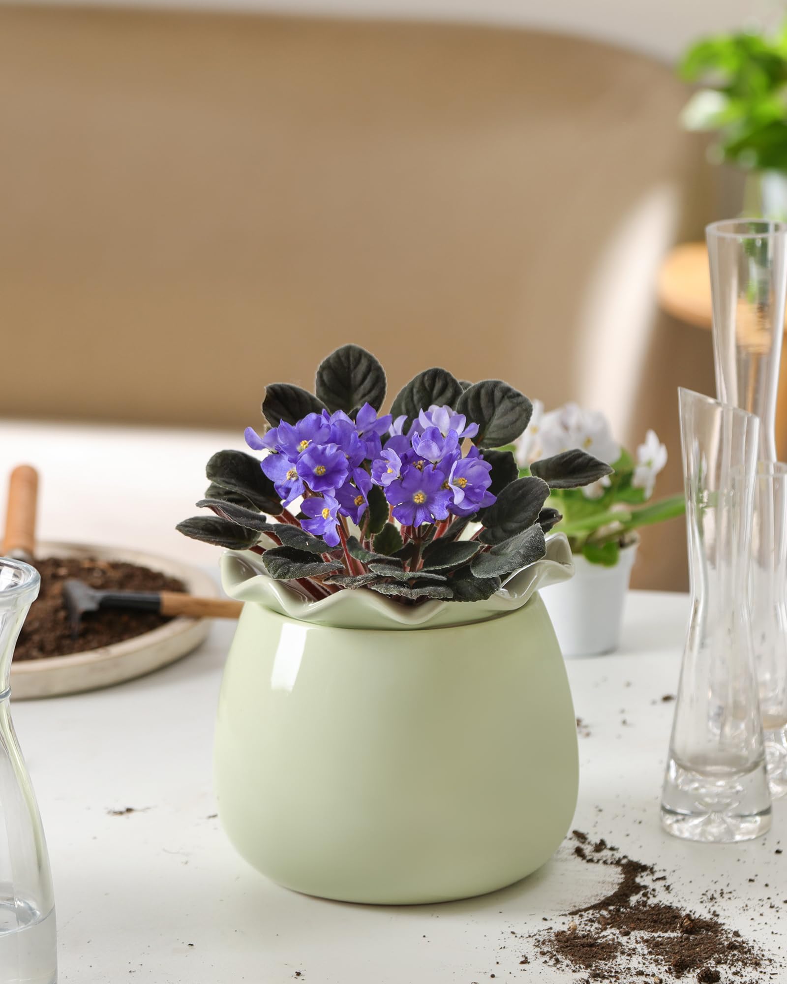 Fayoula compact plant pot on a sunny windowsill.