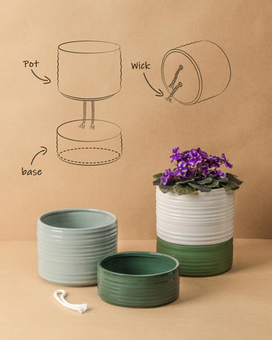 Fayoula ceramic pot with drainage hole prevents overwatering and root stress.