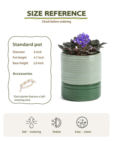 Fayoula dual reservoir ceramic planter maintains moisture with good air flow.