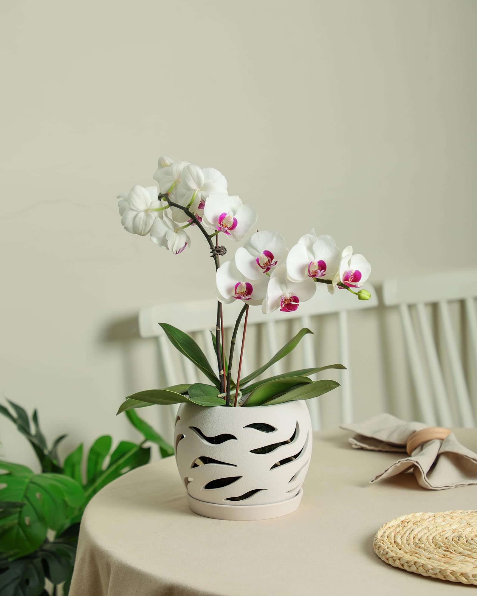 Fayoula elegant centrepiece design enhances shelves and patios.