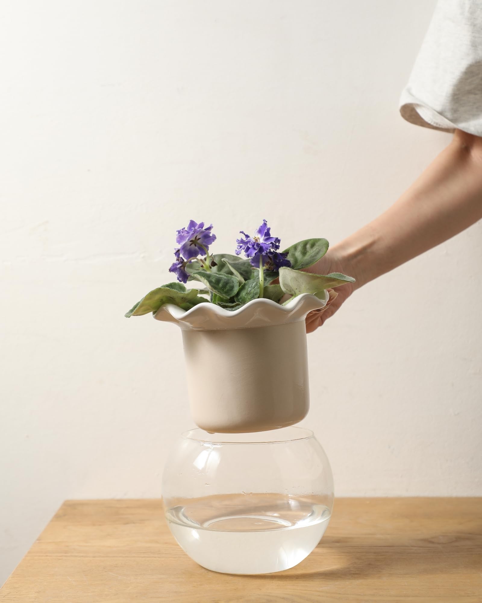 Fayoula gift-ready planter ideal for gardening enthusiasts on special occasions.