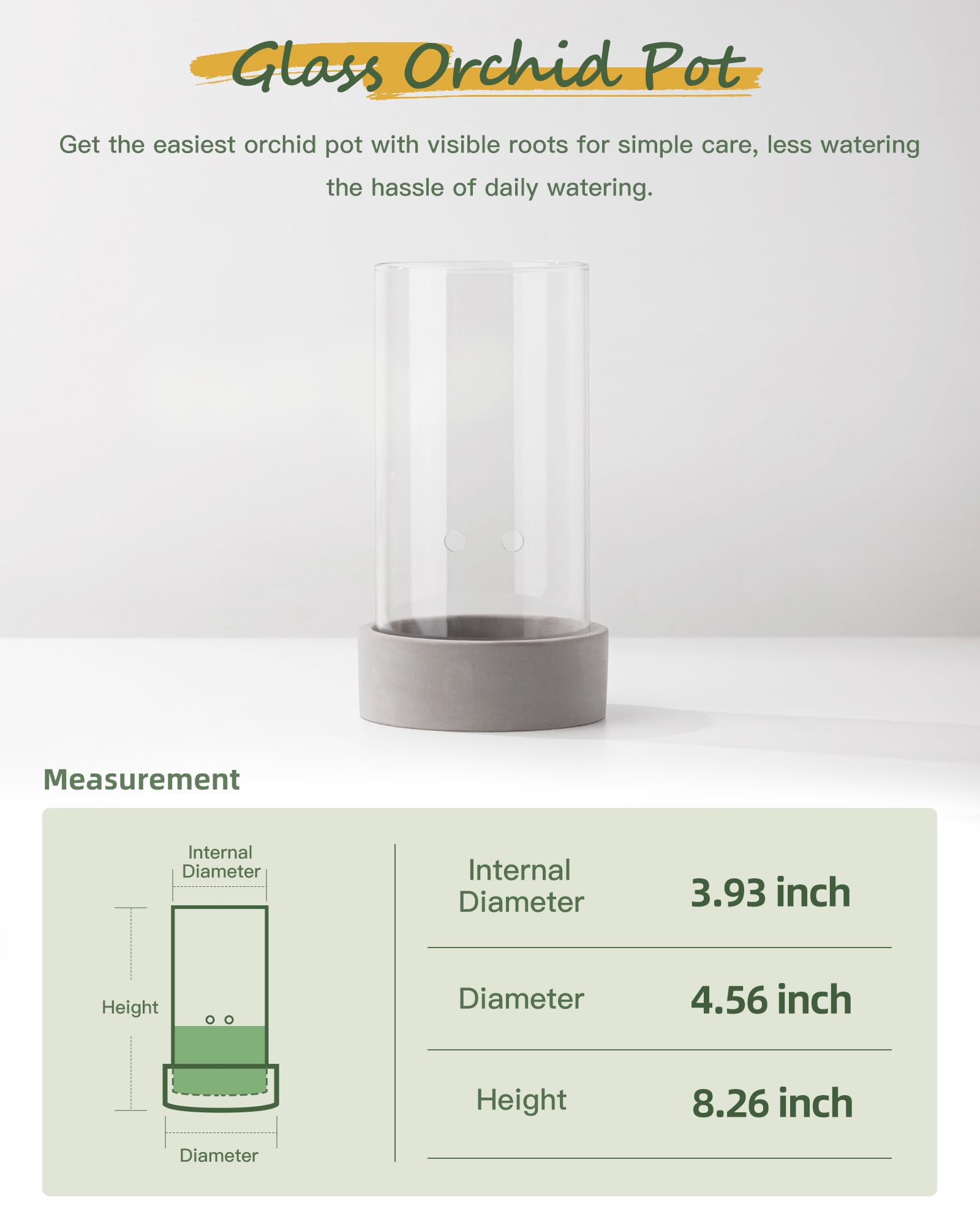 Fayoula Glass Orchid Pot with cement base provides stable tabletop placement.