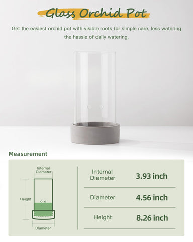 Fayoula Glass Orchid Pot with cement base provides stable tabletop placement.