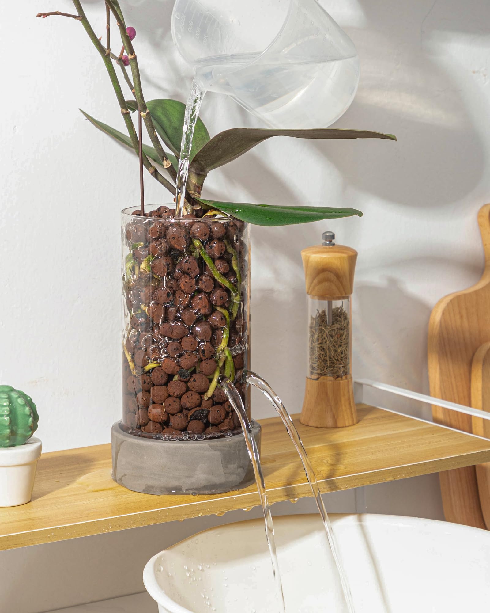 Fayoula Glass Orchid Pot designed for clay pebbles and media compatibility.
