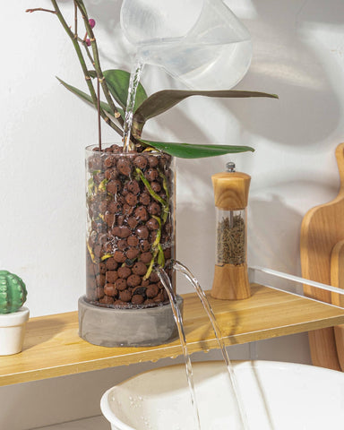 Fayoula Glass Orchid Pot designed for clay pebbles and media compatibility.