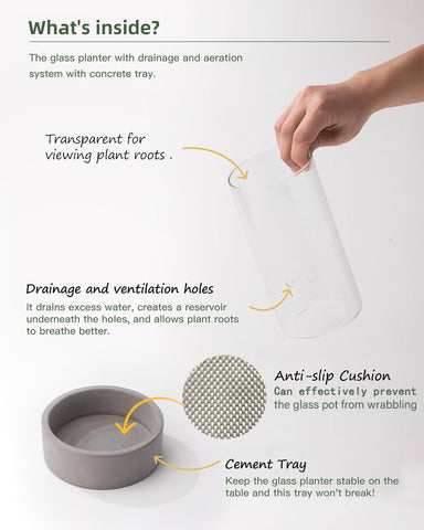 Fayoula Glass Orchid Pot with holes for repotting promotes airflow and drainage.