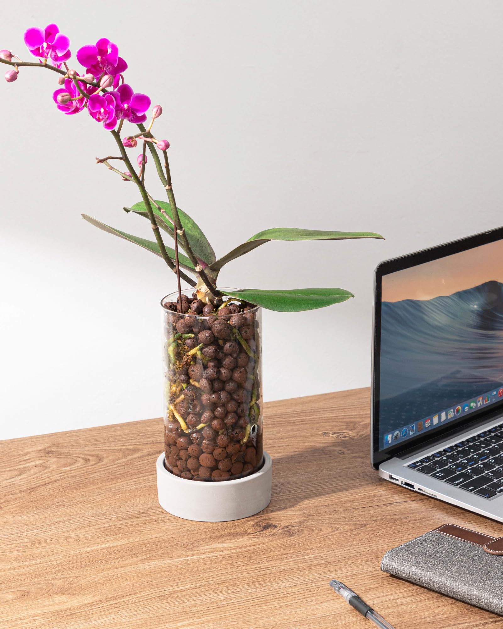 Fayoula Glass Orchid Pot on a tabletop highlights its stable, stylish form.