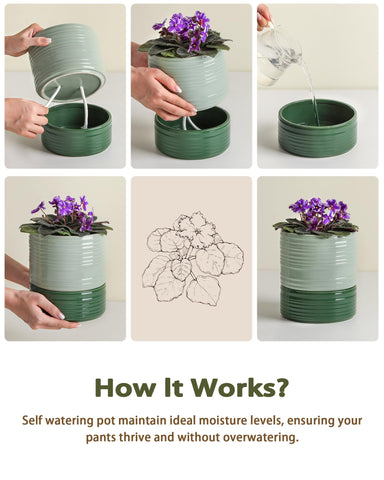 Fayoula green light ceramic pot adds color while supporting healthy growth.