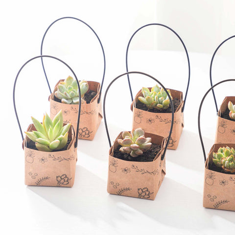 Fayoula kraft paper wrap prints elevate small gift presentation.
