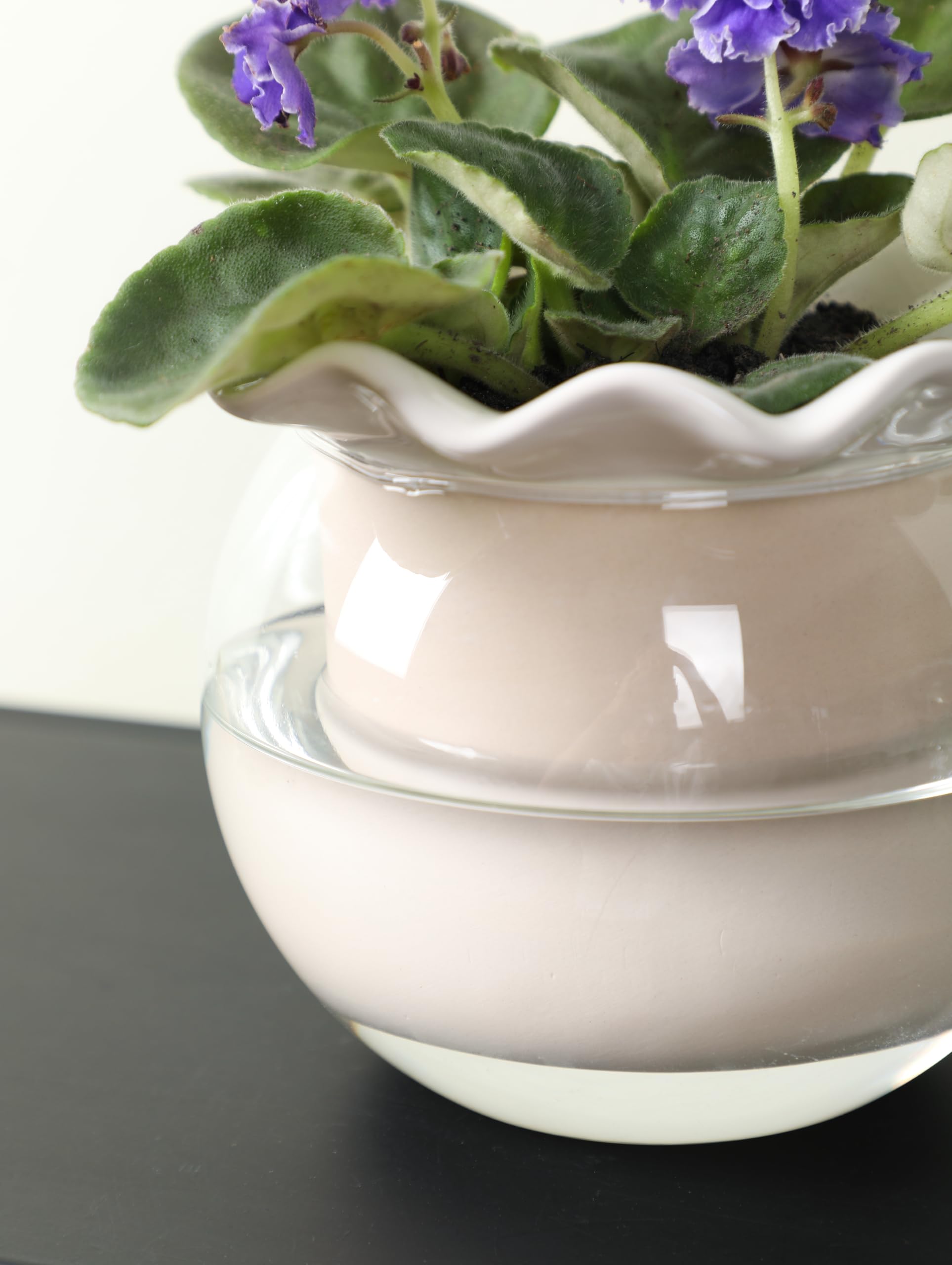 Fayoula low-maintenance planter suits busy households and travelers.