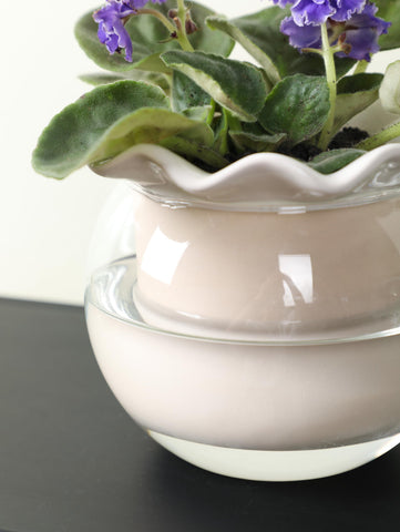 Fayoula low-maintenance planter suits busy households and travelers.