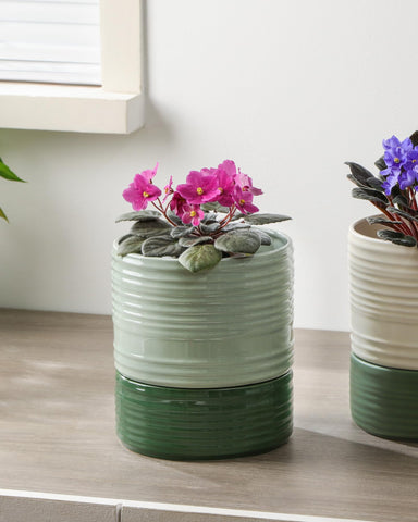 Fayoula modern ceramic self watering pot blends with contemporary interiors.