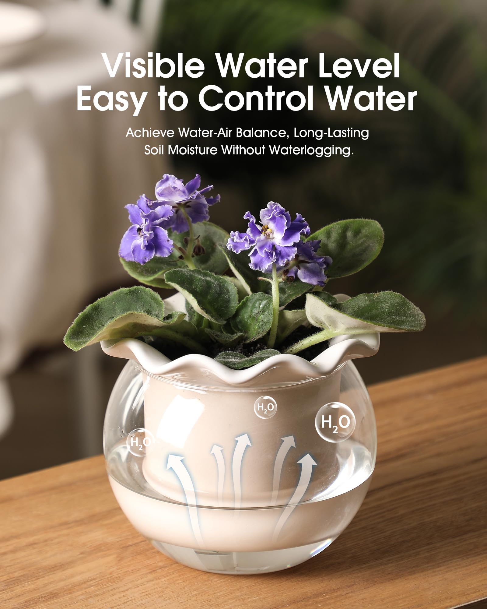 Fayoula modern plant pot design complements contemporary home decor.