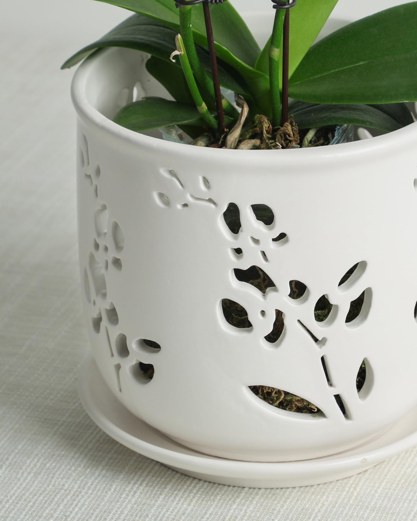Air vents visible on Fayoula orchid pot design.