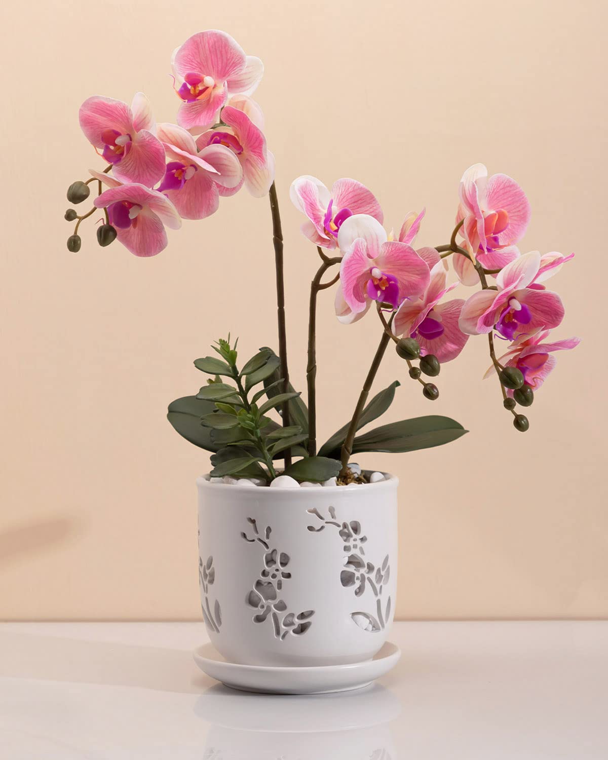 Fayoula orchid pot front view showcases sturdy lightweight ceramic design.