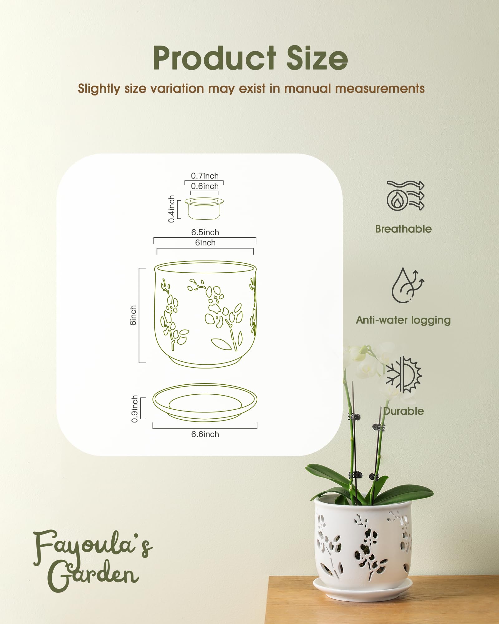 Indoor setup: Fayoula orchid pot adds a stylish display.