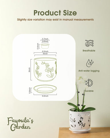 Indoor setup: Fayoula orchid pot adds a stylish display.