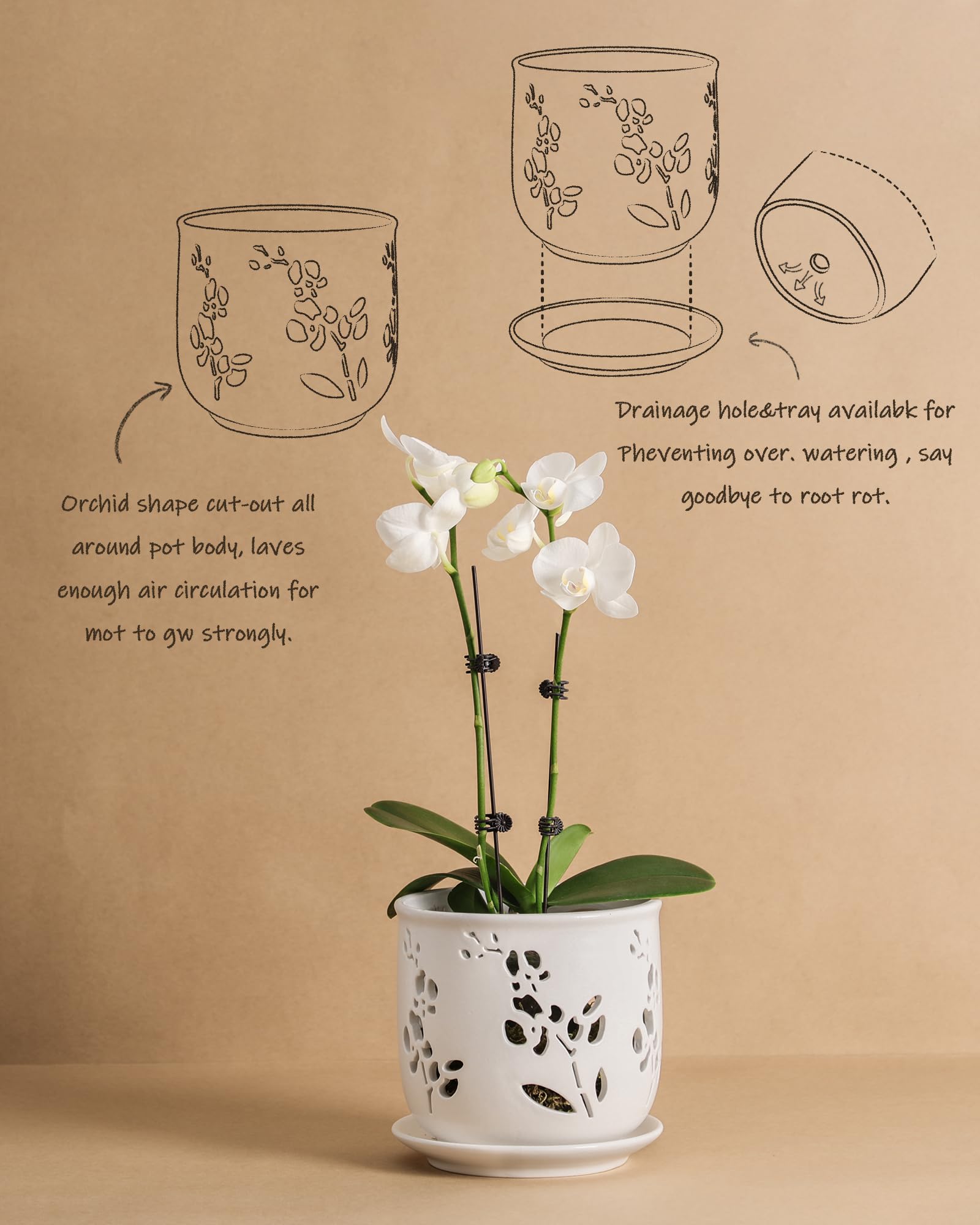 Packaging image showing pot and tray included.
