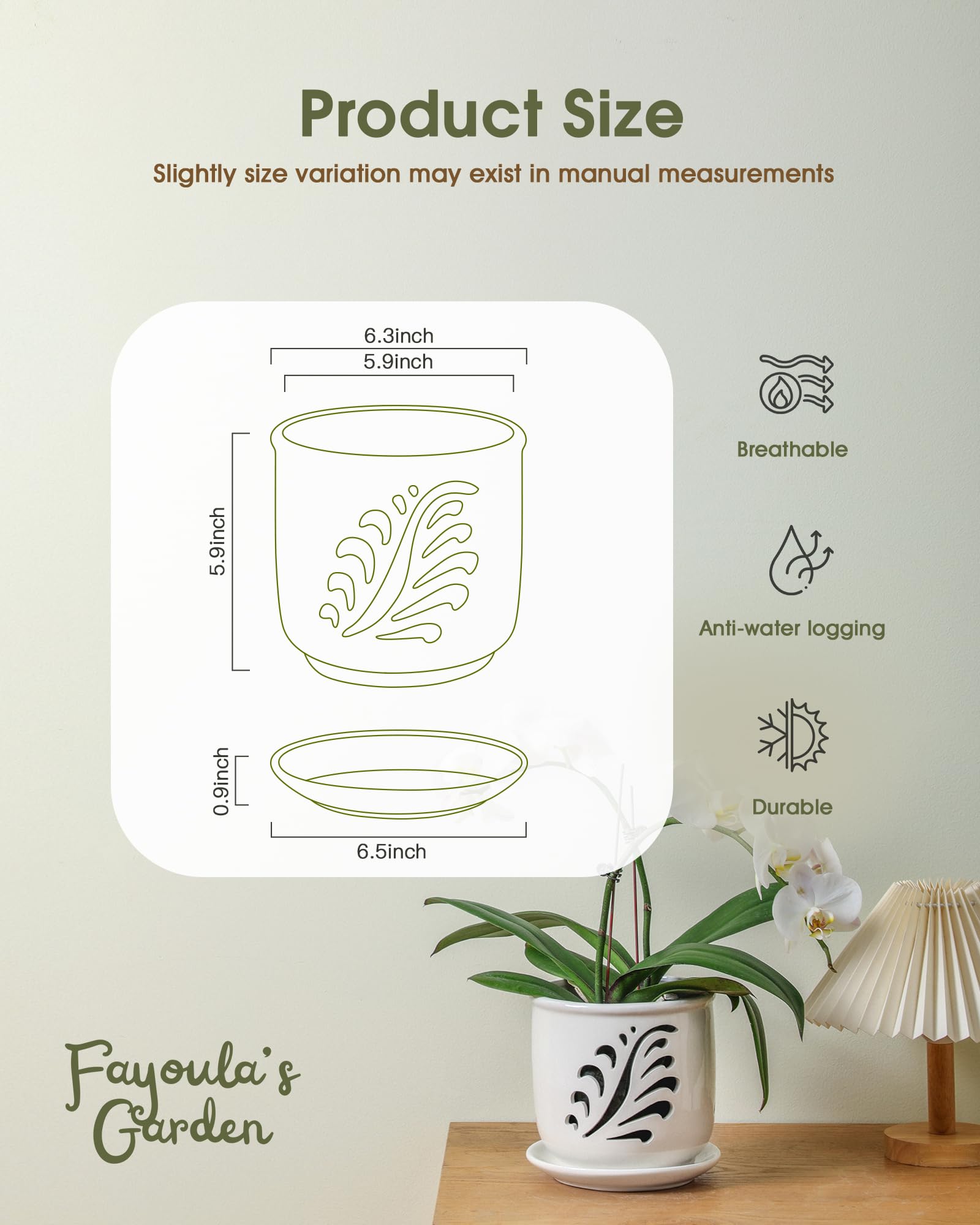 Fayoula orchid pot bottom drainage hole helps prevent overwatering.
