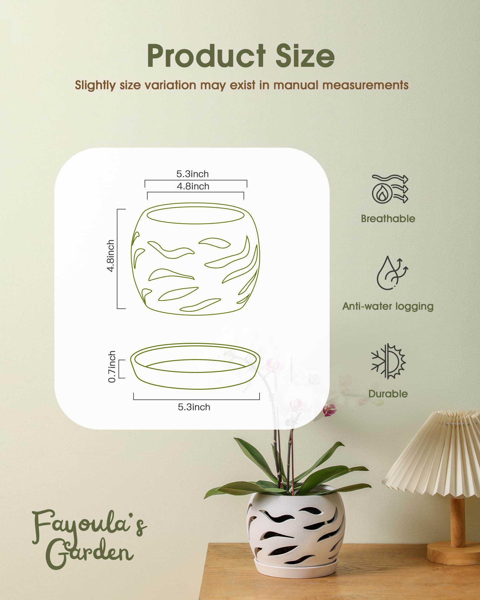 Fayoula orchid pot shows bottom drainage hole for excess water protection.