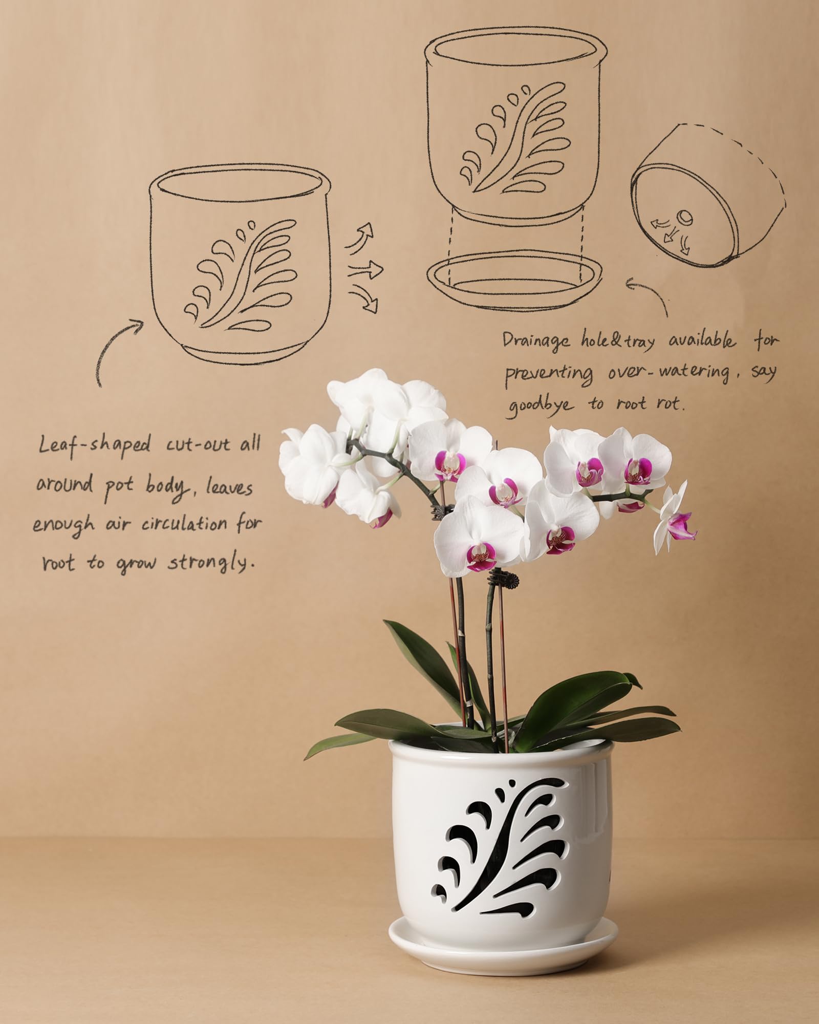 Fayoula orchid pot leaf-cutouts add style while aiding airflow.