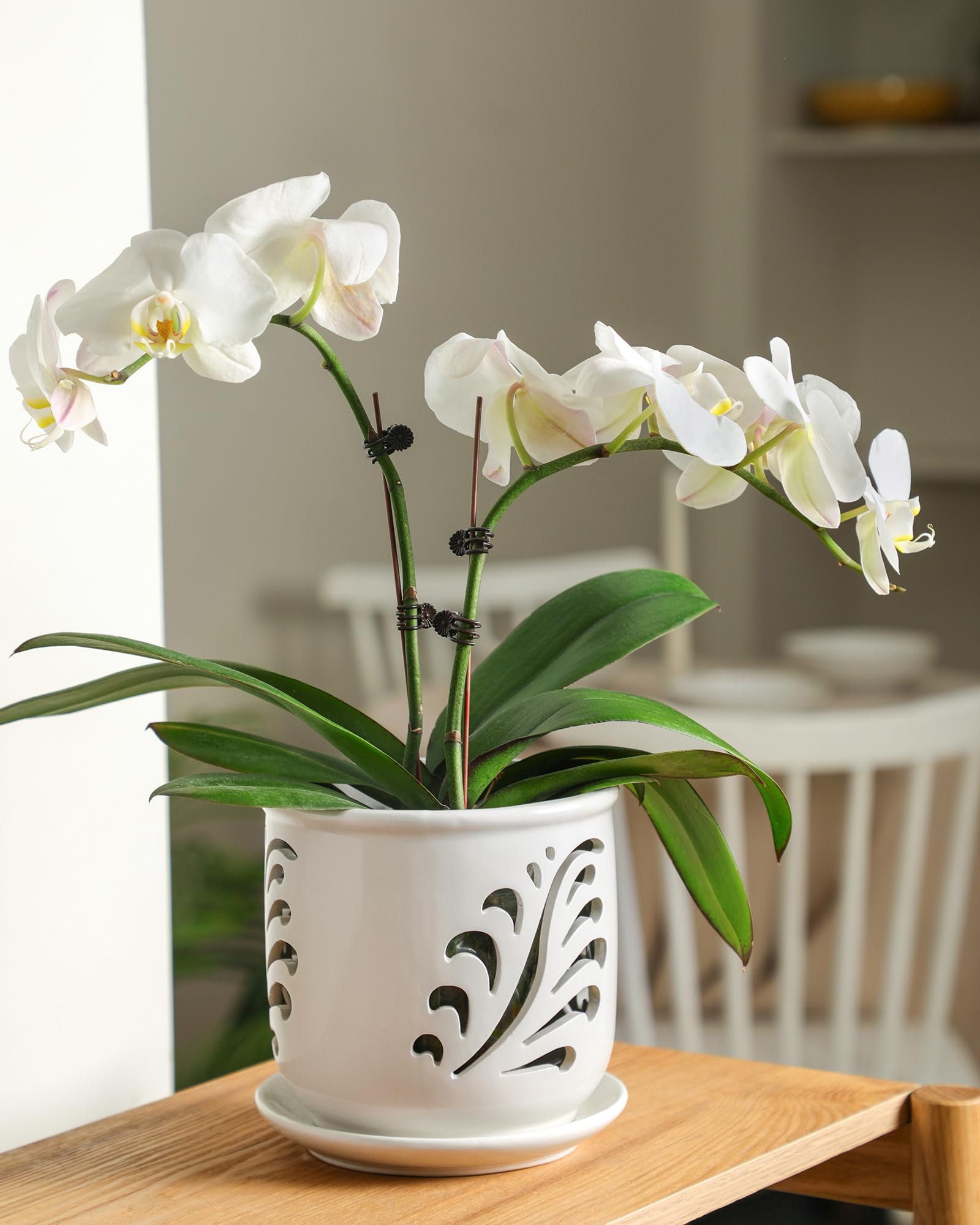 Fayoula orchid pot comes with a matching tray for drips.