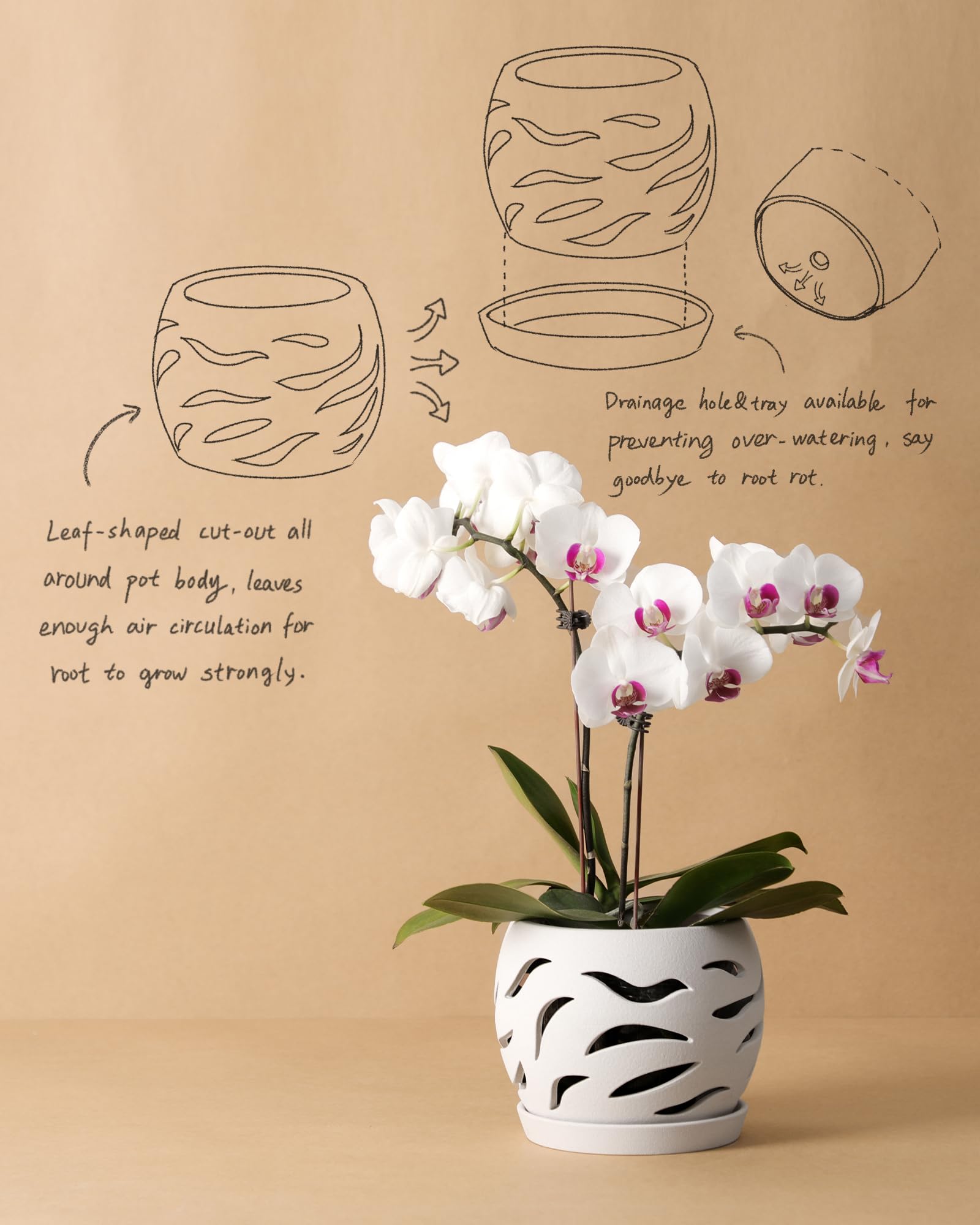 Fayoula orchid pot features wind worn texture for stylish display.