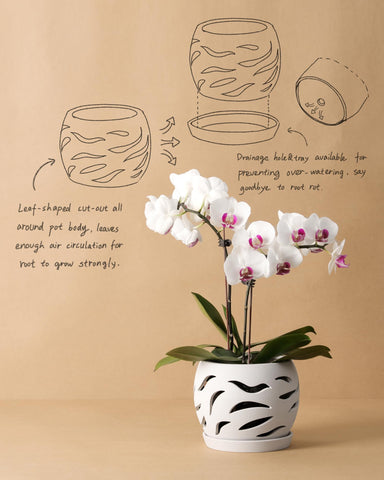 Fayoula orchid pot features wind worn texture for stylish display.