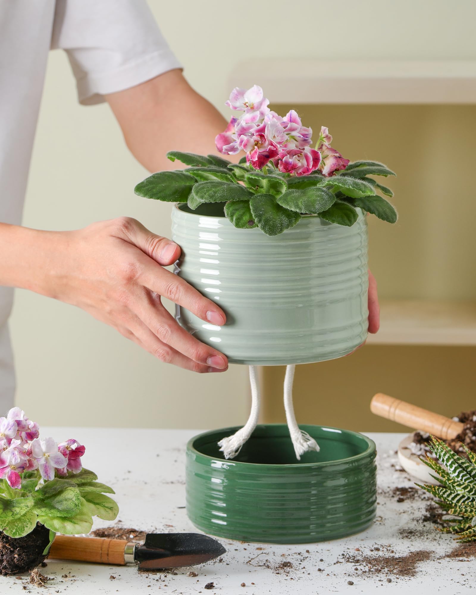 Fayoula 6 inch pot ideal for orchids and succulents on a windowsill.