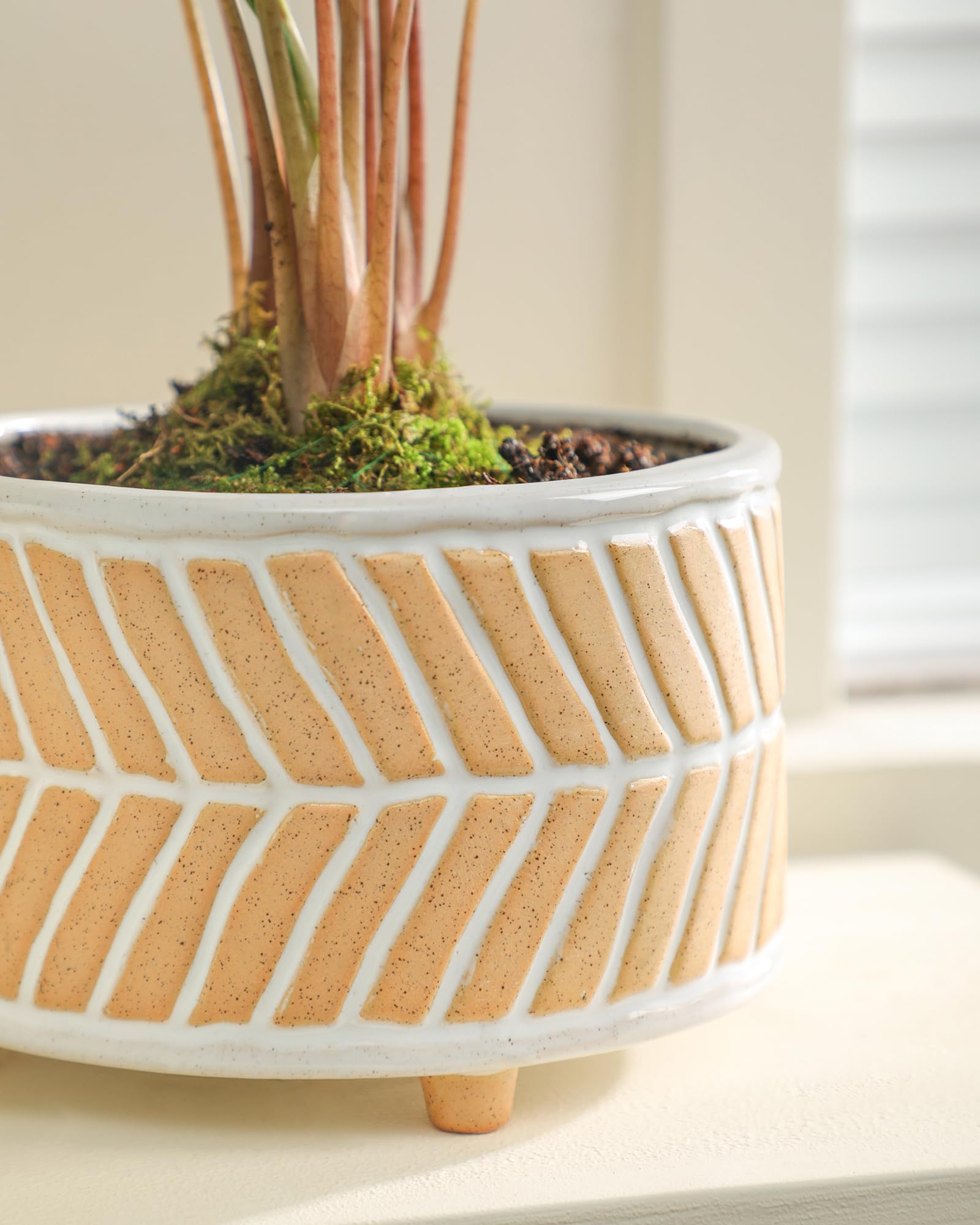 Fayoula planter kit includes drainage net and silicone plug for easy watering