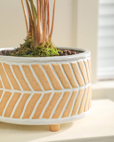 Fayoula planter kit includes drainage net and silicone plug for easy watering