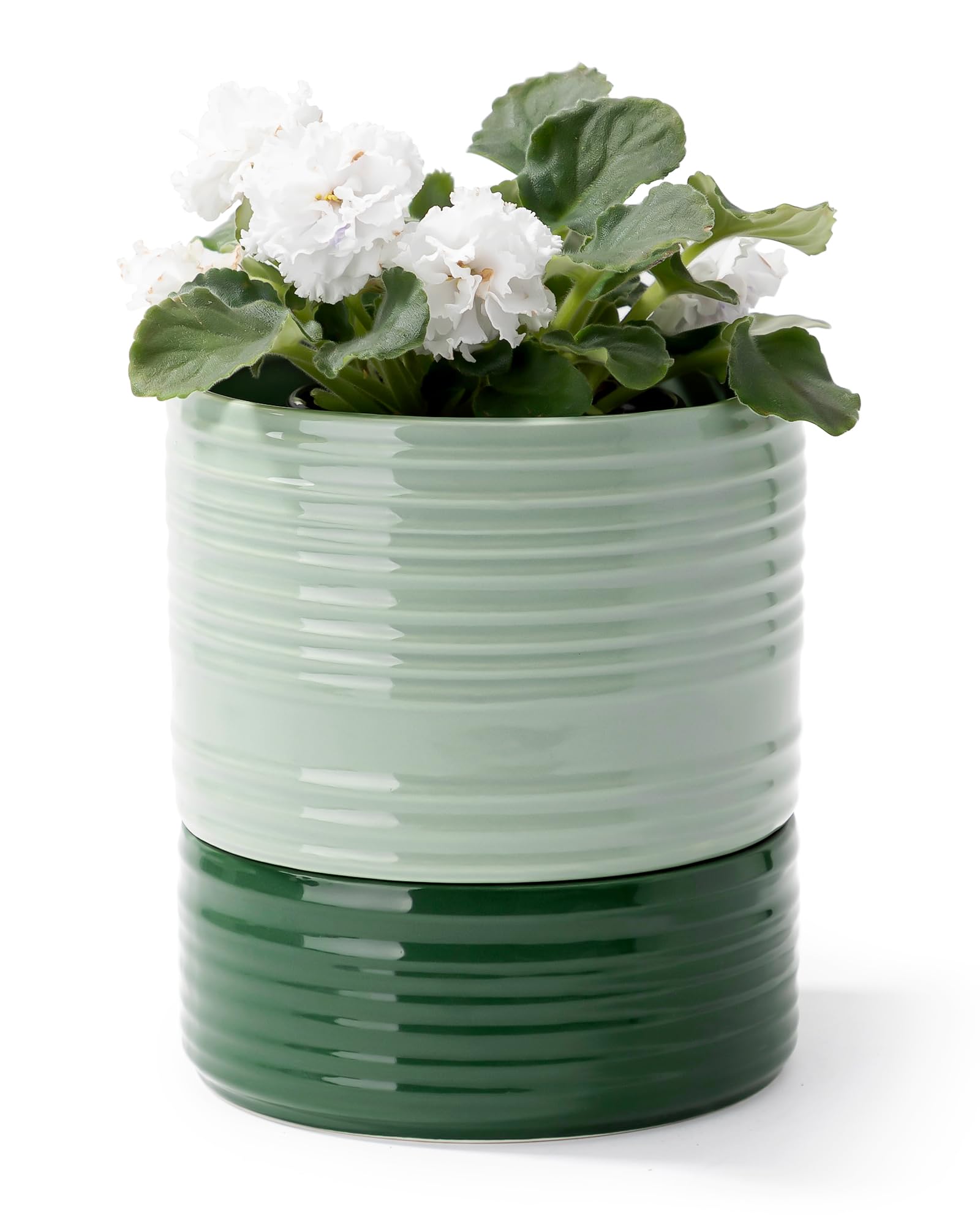 Fayoula self-watering pot with wick rope shows effortless hydration for indoor plants.