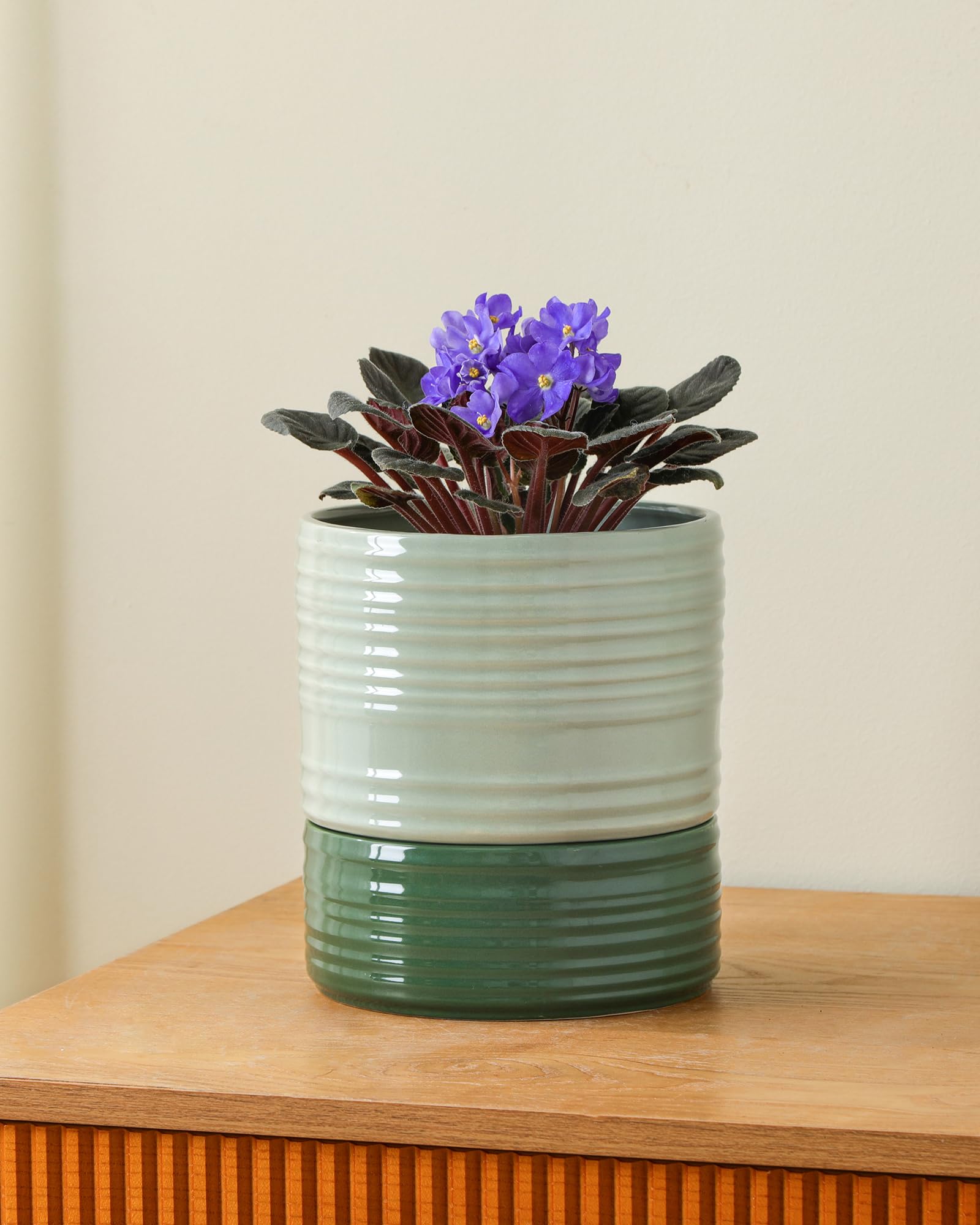 Fayoula striped ceramic pot with wick rope illustrates a stylish watering system.